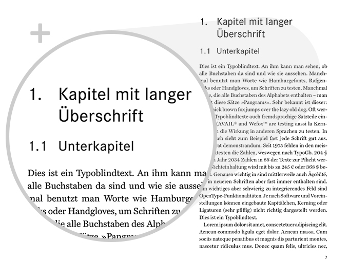 Beispiel Detail Schrift Design Sachbuch akademisch Variante Klassisch